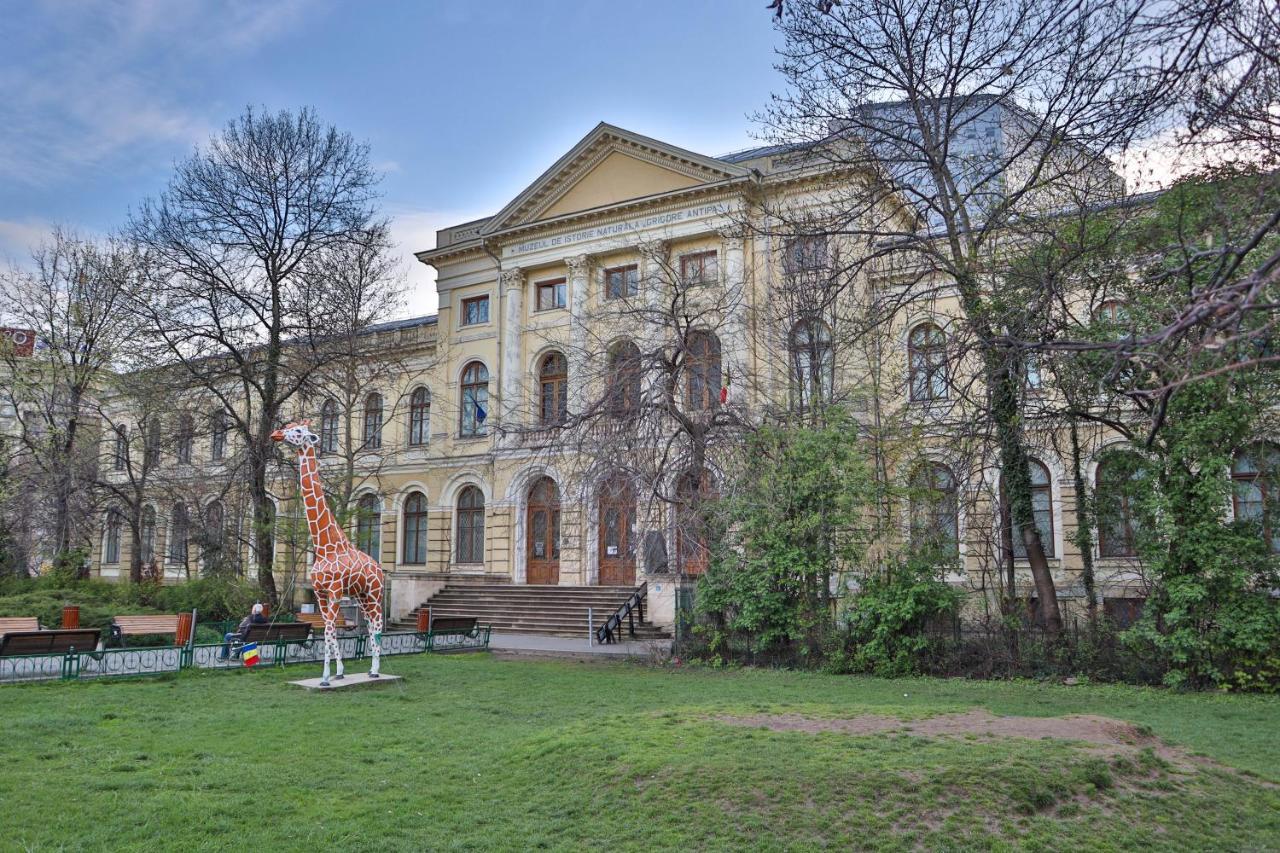 Oak Apartment - Piata Victoriei Bucharest Luaran gambar