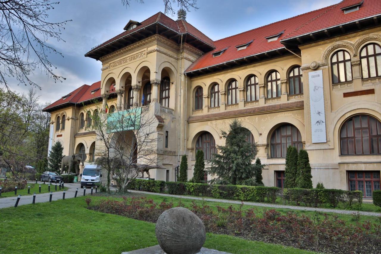 Oak Apartment - Piata Victoriei Bucharest Luaran gambar